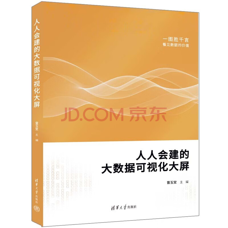 《人人会建的大数据可视化大屏》[55M]百度网盘|pdf下载|亲测有效