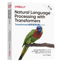 《Transformers自然语言处理（NaturalLanguageProcessingw》[64M]百度网盘|pdf下载|亲测有效