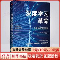 《深度学习革命从历史到未来》[84M]百度网盘|pdf下载|亲测有效