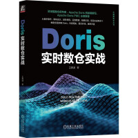 《Doris实时数仓实战》[81M]百度网盘|pdf下载|亲测有效