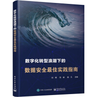 《数字化转型浪潮下的数据安全最佳实践指南》[81M]百度网盘|pdf下载|亲测有效