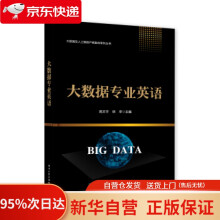 《大数据专业英语高文宇著》[73M]百度网盘|pdf下载|亲测有效