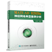 《:MATLABRa神经网络典型案例分析张德丰》[72M]百度网盘|pdf下载|亲测有效