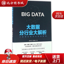 《大数据分行业大解析彭作文,刘宇航著北方城》[92M]百度网盘|pdf下载|亲测有效