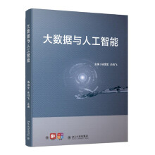 《大数据与人工智能高等院校人工智能基础规划教材杨忠宝等著》[87M]百度网盘|pdf下载|亲测有效
