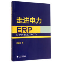 《走进电力ERP》[58M]百度网盘|pdf下载|亲测有效