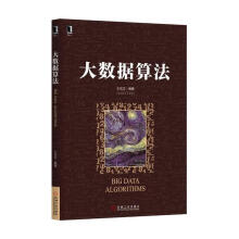 《大数据算法王宏志著》[52M]百度网盘|pdf下载|亲测有效