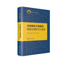 《可视媒体大数据的智能处理技术与系统》[98M]百度网盘|pdf下载|亲测有效