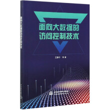 《面向大数据的访问控制技术王静宇》[41M]百度网盘|pdf下载|亲测有效