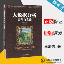 《大数据分析原理与实践王宏志数据科学与工程技术丛书机械工业》[82M]百度网盘|pdf下载|亲测有效