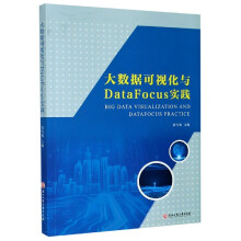 《大数据可视化与DataFocus实践》[54M]百度网盘|pdf下载|亲测有效