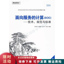 《面向服务的计算SOC技术规范与标准》[77M]百度网盘|pdf下载|亲测有效