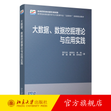 《大数据、数据挖掘理论与应用实践李文书等著高等院校数据科学与大数据专业互联网创新规划教材北京》[99M]百度网盘|pdf下载|亲测有效