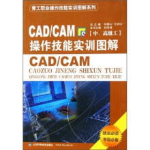 《CADCAM操作技能实训图解》[88M]百度网盘|pdf下载|亲测有效