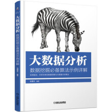 《数据分析师养成宝典大数据分析》[92M]百度网盘|pdf下载|亲测有效