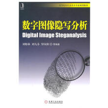 《数字图像隐写分析》[74M]百度网盘|pdf下载|亲测有效