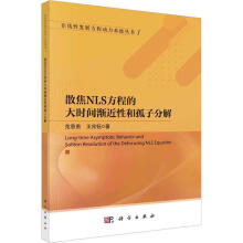 《散焦NLS方程的大时间渐近性和孤子分解范恩贵科学科学与自然书籍》[75M]百度网盘|pdf下载|亲测有效