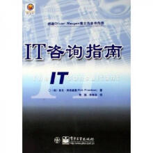 《IT咨询指南：》[83M]百度网盘|pdf下载|亲测有效