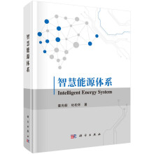 《智慧能源体系童光毅等智慧能源体系概论丛书》[75M]百度网盘|pdf下载|亲测有效