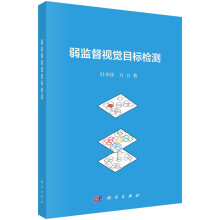 《弱监督视觉目标检测》[45M]百度网盘|pdf下载|亲测有效
