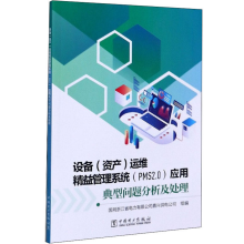 《设备运维精益管理系统应用典型问题分析及处理》[96M]百度网盘|pdf下载|亲测有效