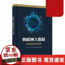 《物联网大数据处理技术与实践物联网大数据存储云计算环境下物联网大数据管理与应用物联网大数据管理与应用的Delou》[45M]百度网盘|pdf下载|亲测有效