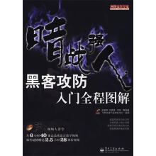《暗战强人:黑客攻防入门全程图解》[60M]百度网盘|pdf下载|亲测有效
