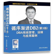 《:循序渐进DB2DBA系统管理、运维与应用案例》[80M]百度网盘|pdf下载|亲测有效