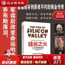 《硅谷之火：人与计算机的未来弗赖伯格,斯韦因著,张华伟编译中国华侨出北方城》[44M]百度网盘|pdf下载|亲测有效