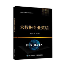《大数据专业英语》[75M]百度网盘|pdf下载|亲测有效