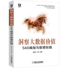 《洞察大数据价值-SAS编程与数据挖掘》[41M]百度网盘|pdf下载|亲测有效