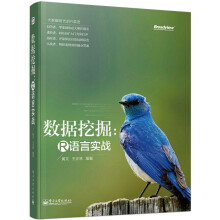 《大数据时代的R语言·数据挖掘：R语言实战》[73M]百度网盘|pdf下载|亲测有效