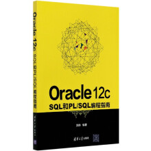 《OraclecSQL和PL\SQL编程指南》[82M]百度网盘|pdf下载|亲测有效