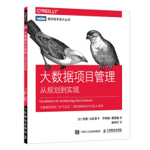 《大数据项目管理从规划到实现图灵程序设计丛书大数据开发管理实战大数据项目的孙子》[55M]百度网盘|pdf下载|亲测有效