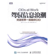 《驾驭信息浪潮-对话组织CIO书籍计算机与互联网IT人文互联网》[91M]百度网盘|pdf下载|亲测有效