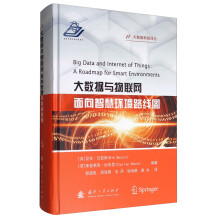 《大数据科技译丛大数据与物联网：面向智慧环境路线图》[56M]百度网盘|pdf下载|亲测有效