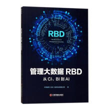 《管理大数据RBD：从CI、BI到AI书籍计算机与互联网大数据与云计算》[51M]百度网盘|pdf下载|亲测有效
