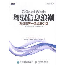 《驾驭信息浪潮-对话组织CIO计算机与互联网企业经营管理现代化管理青年》[59M]百度网盘|pdf下载|亲测有效