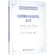 《直觉模糊核匹配追踪理论及应用》[82M]百度网盘|pdf下载|亲测有效