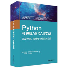 《Python可解释AI实战》[73M]百度网盘|pdf下载|亲测有效