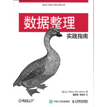 《数据整理实践指南计算机与互联网书籍》[51M]百度网盘|pdf下载|亲测有效