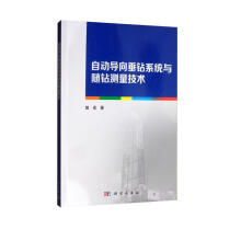 《自动导向垂钻系统与随钻测量技术》[57M]百度网盘|pdf下载|亲测有效