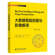 《大数据智能挖掘与影像解译》[57M]百度网盘|pdf下载|亲测有效