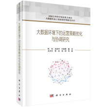 《大数据环境下的运营策略优化与协调研究》[47M]百度网盘|pdf下载|亲测有效