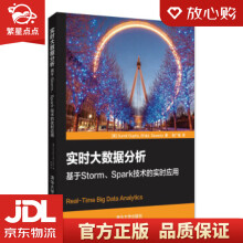 《实时大数据分析：基于Storm、Spark技术的实时应用Sum》[44M]百度网盘|pdf下载|亲测有效