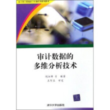 《审计数据的多维分析技术》[53M]百度网盘|pdf下载|亲测有效