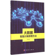 《大数据智慧计算原理方法朱定局作书籍》[98M]百度网盘|pdf下载|亲测有效