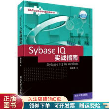 《SybaseIQ实战指南徐正君》[88M]百度网盘|pdf下载|亲测有效