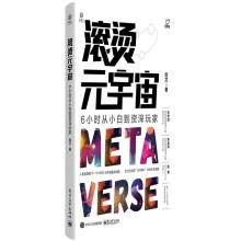 《滚烫元宇宙计算机与互联网信息经济通俗读物普通大众》[40M]百度网盘|pdf下载|亲测有效