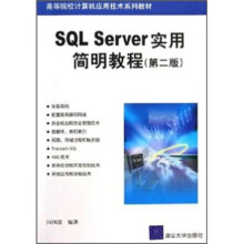 《Server实用简明教程闪四清编》[51M]百度网盘|pdf下载|亲测有效